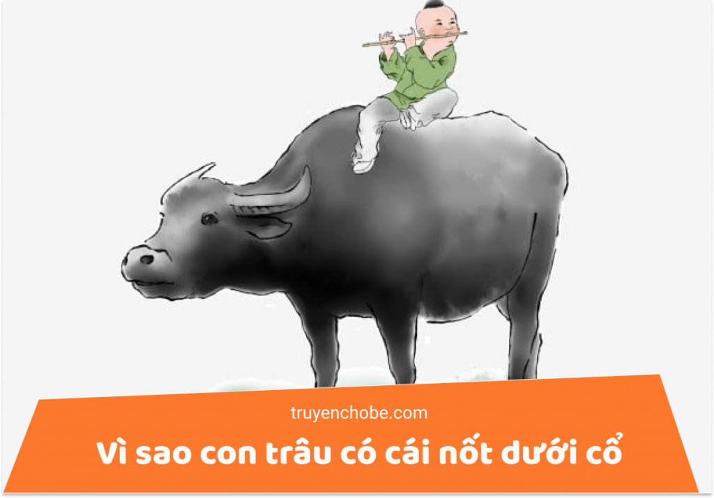 Vì sao con trâu có cái nốt dưới cổ