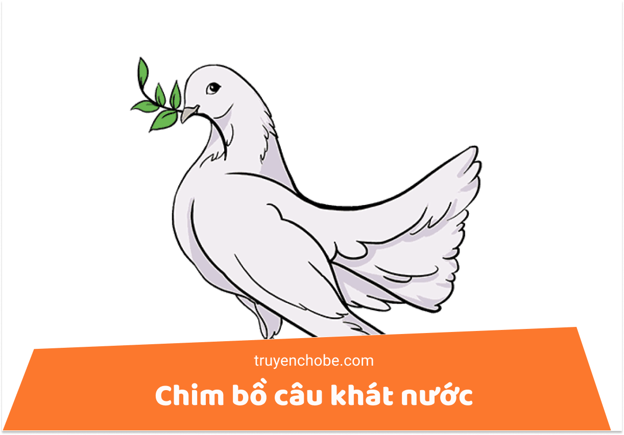 Chim bồ câu khát nước