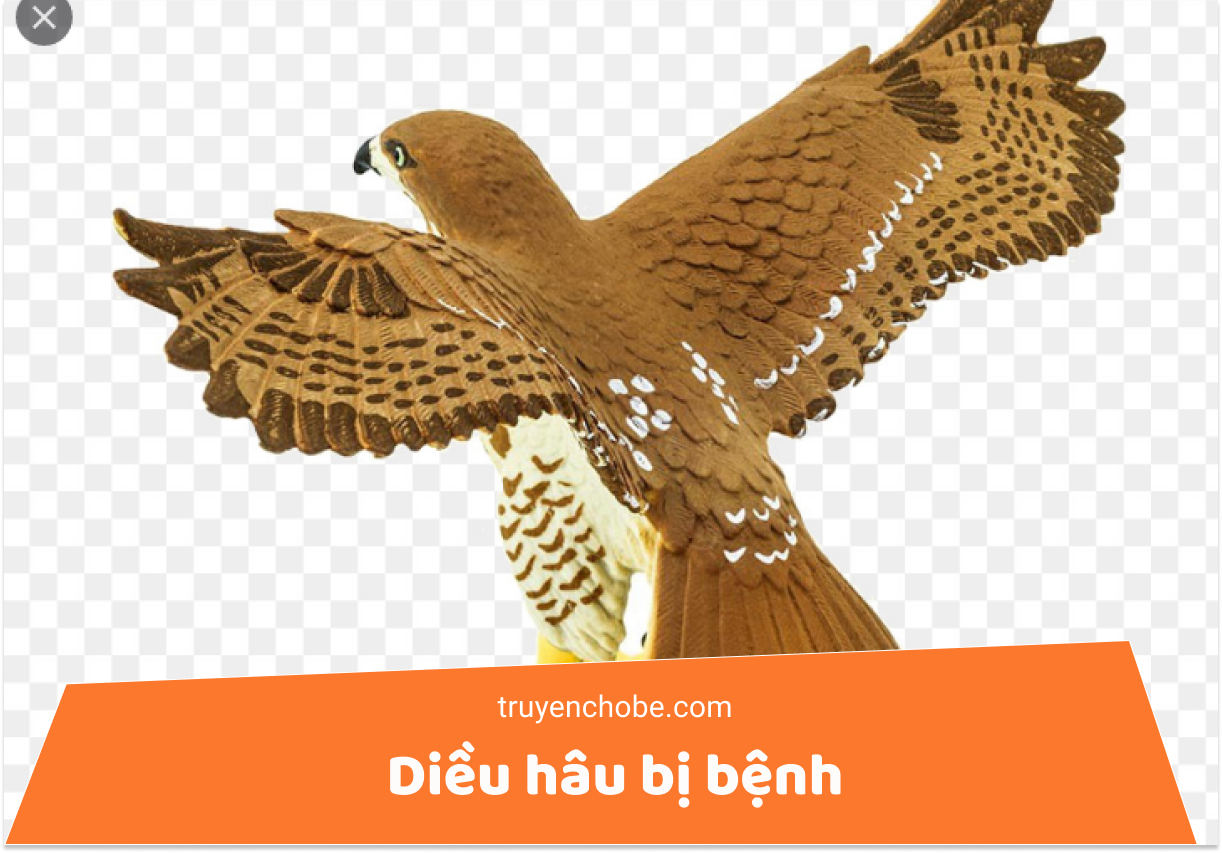 Diều hâu bị bệnh