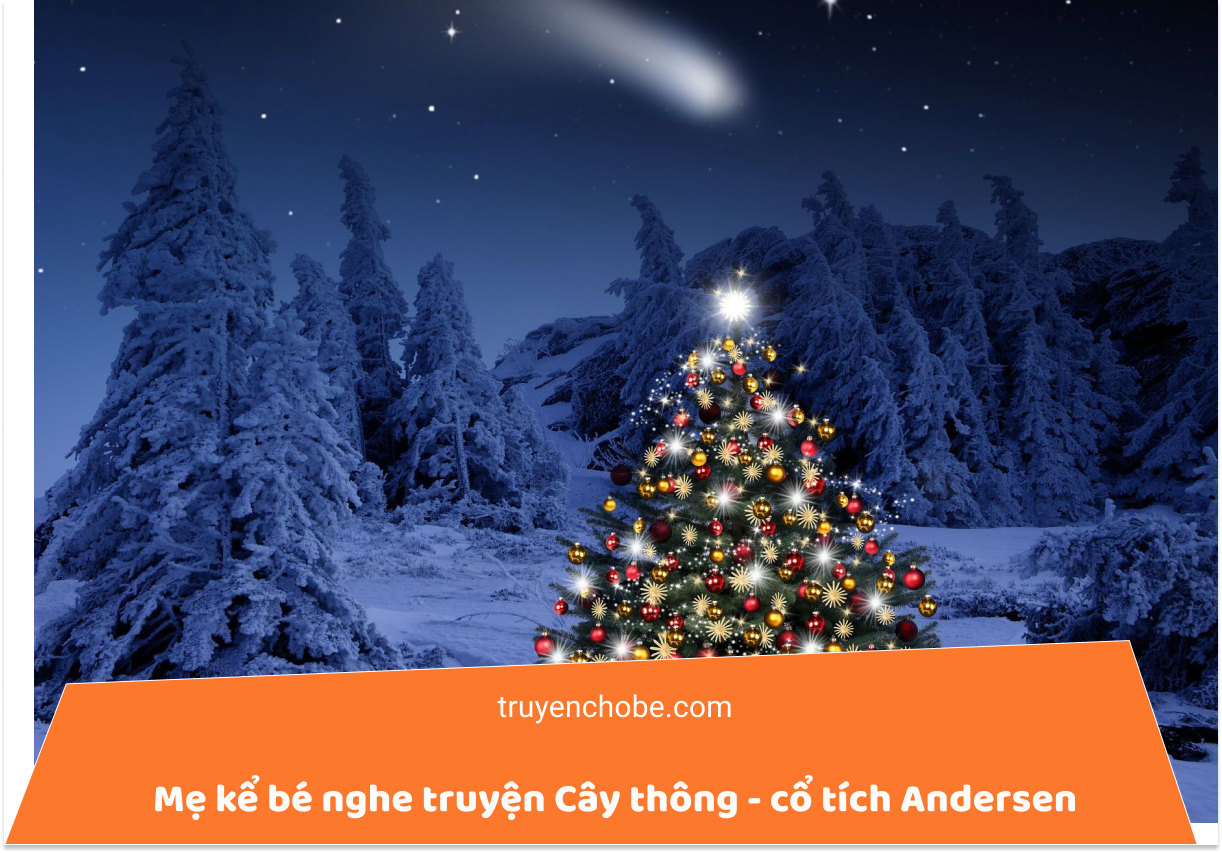 Câu chuyện về cây thông