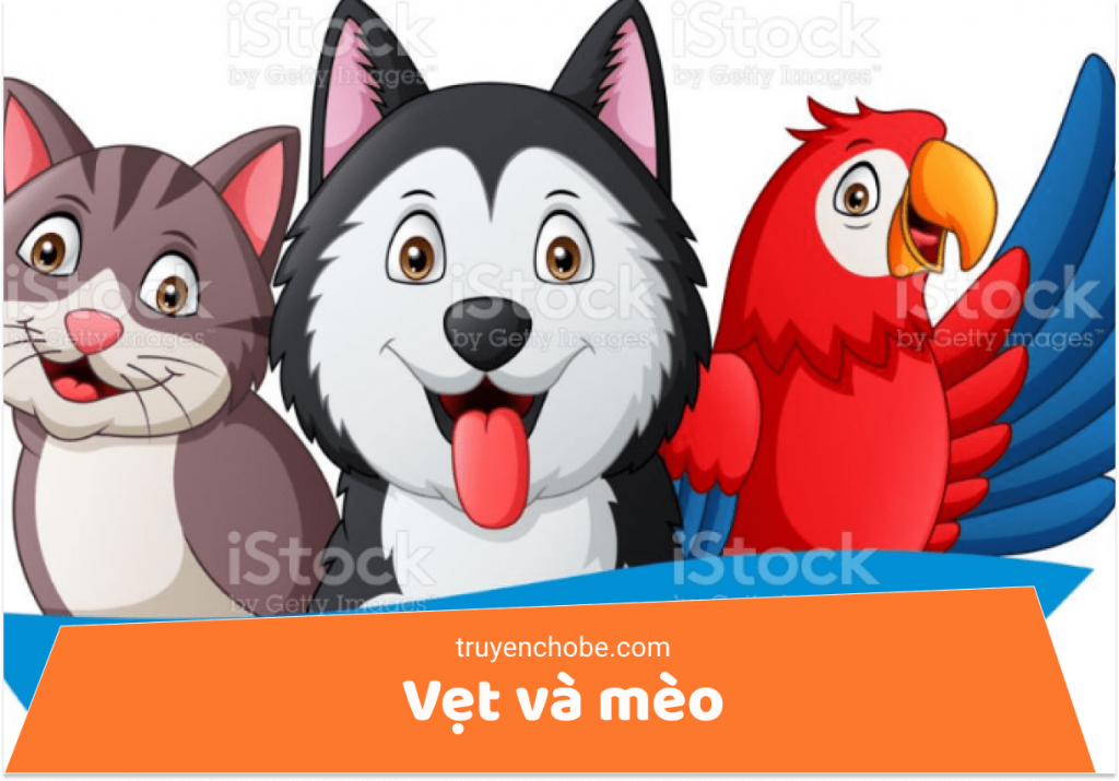 Vẹt và mèo