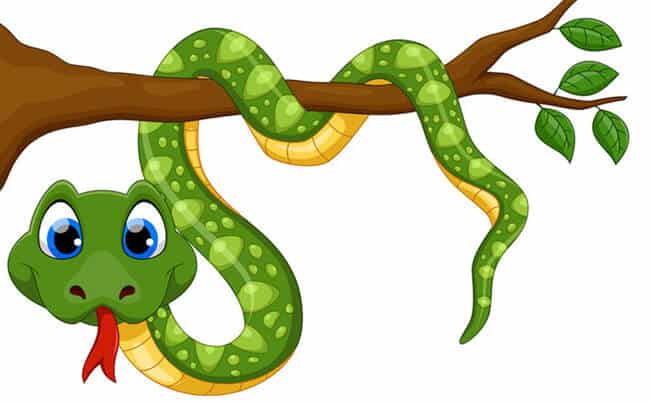 Lưỡi là cơ quan khứu giác của rắn