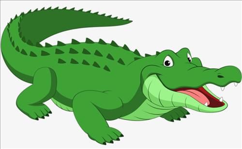 Cá Sấu nuốt đá để hỗ trợ tiêu hóa