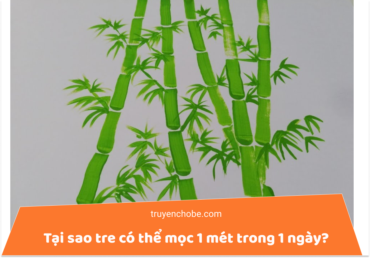 Tại sao tre có thể mọc 1 mét trong 1 ngày?