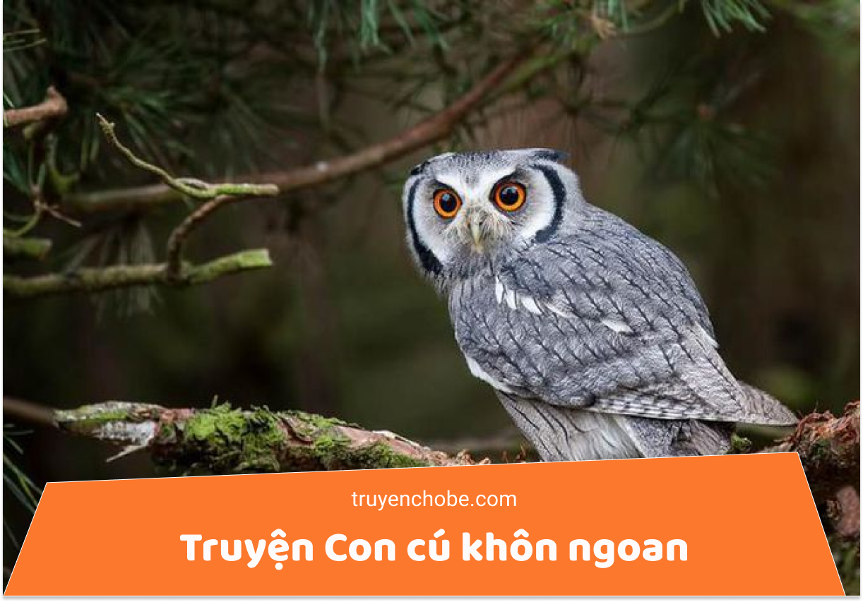 Truyện Con cú khôn ngoan