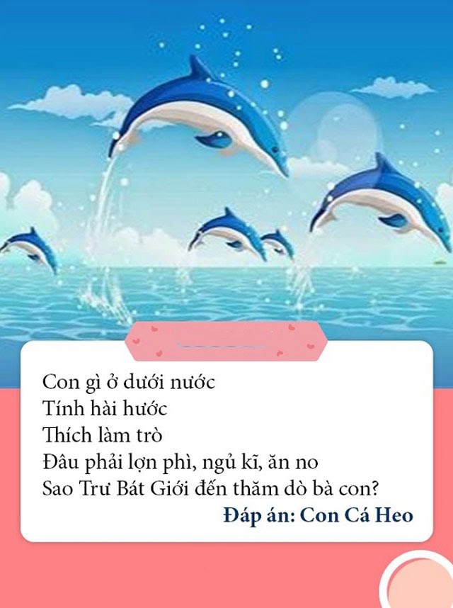 Câu đó về con cá heo