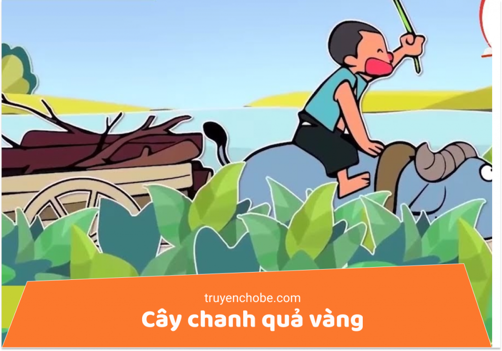 Cây chanh quả vàng