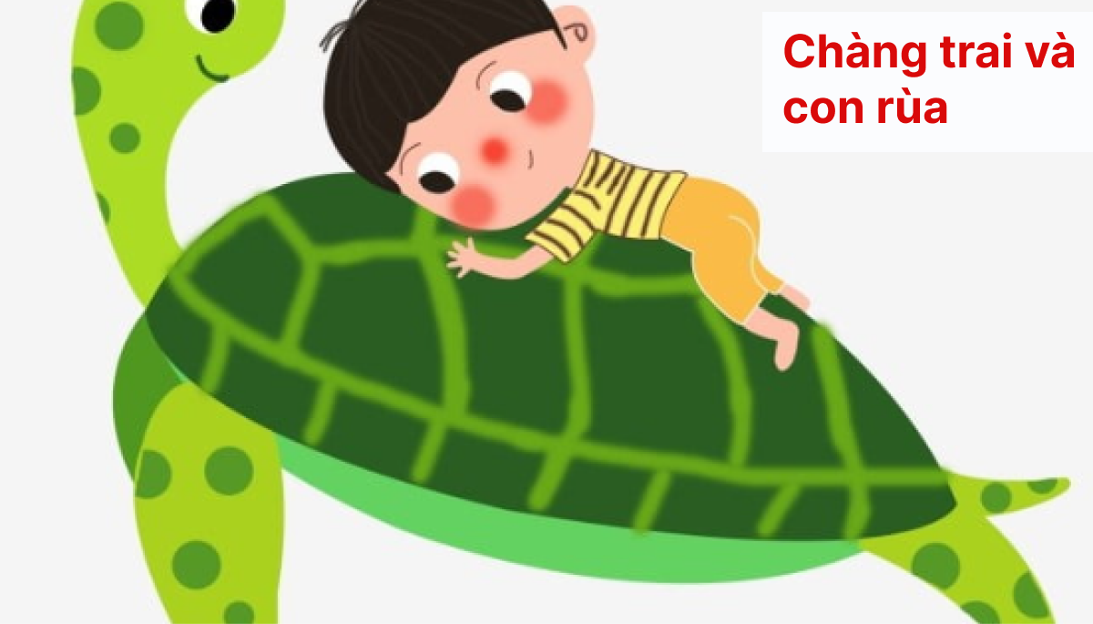 Chàng trai và con rùa